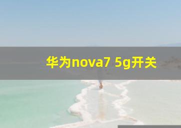 华为nova7 5g开关